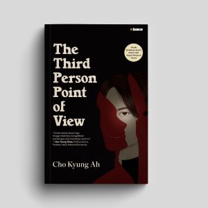 The Third Person Point of View