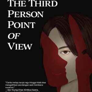 The Third Person Point of View